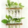 Vase Hydroponique Suspendu en Bois et Verre - 8