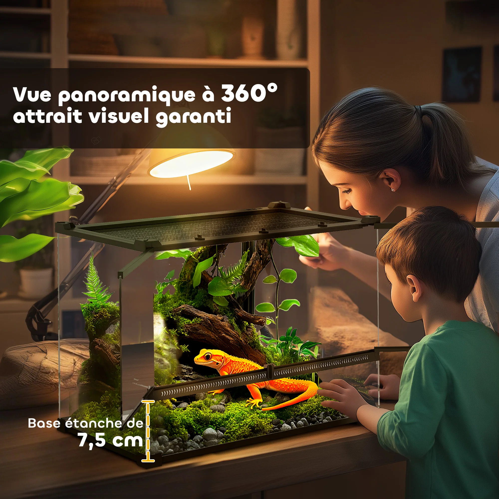Terrarium Pour Reptile – Image 6