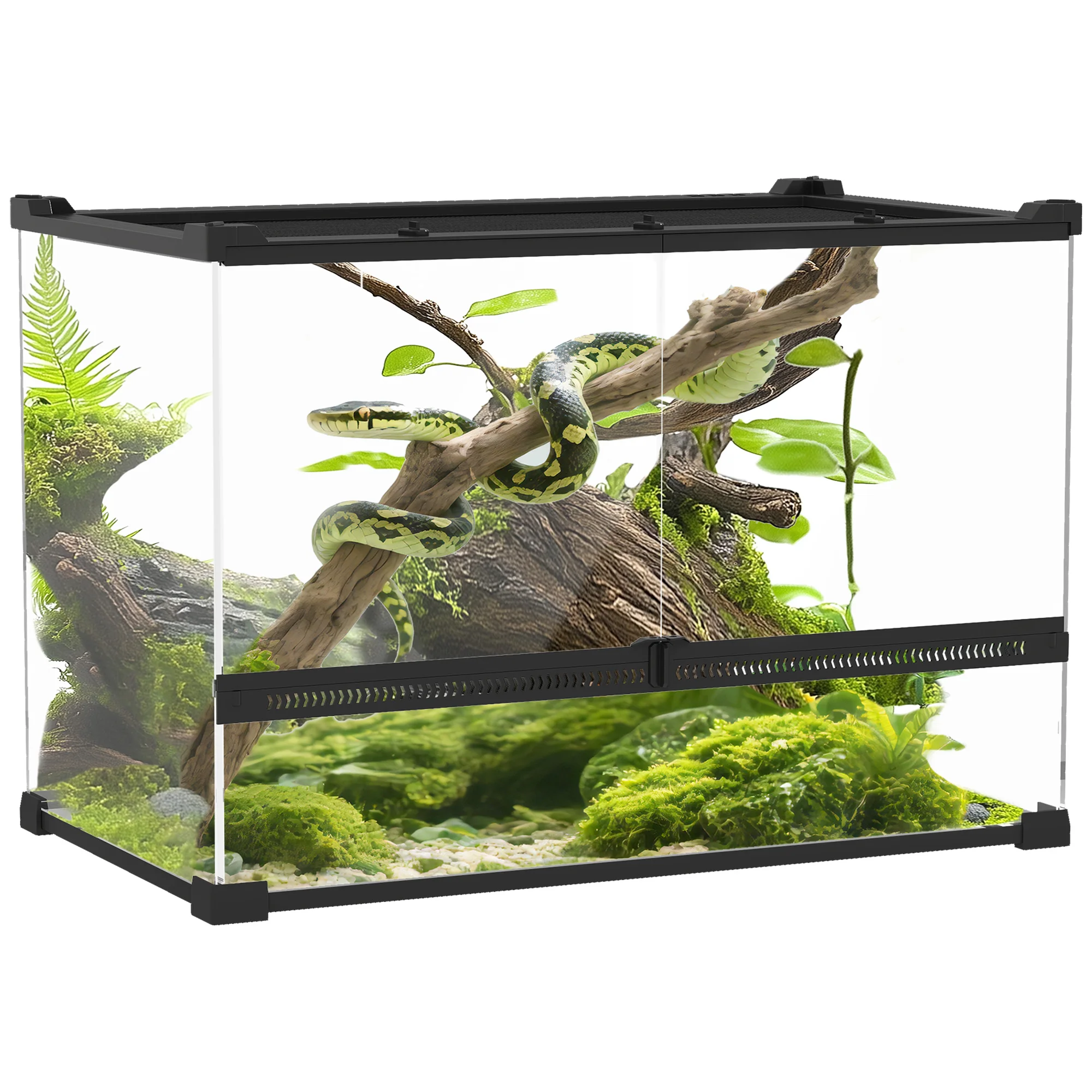 terrarium pour reptiles