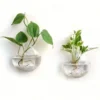 Vase Mural Plat en Verre Transparent - 2pcs