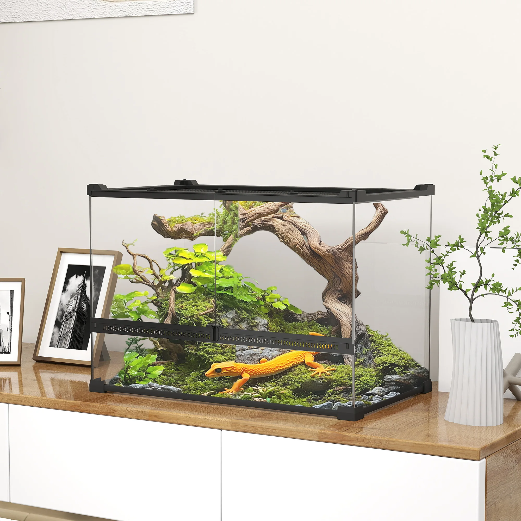 Terrarium Pour Reptile – Image 2