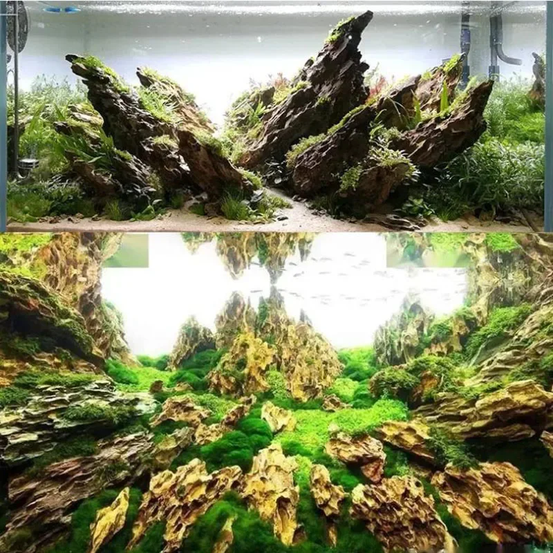 Pierre Naturelle Poreuse pour Aquarium & Terrarium – Image 3