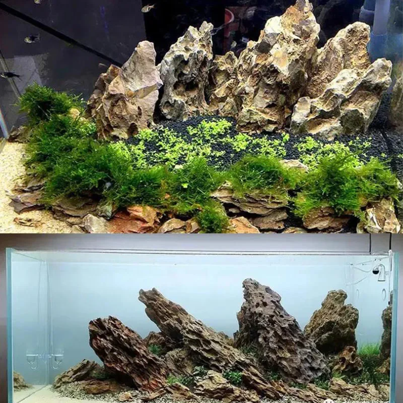 Pierre Naturelle Poreuse pour Aquarium & Terrarium – Image 4
