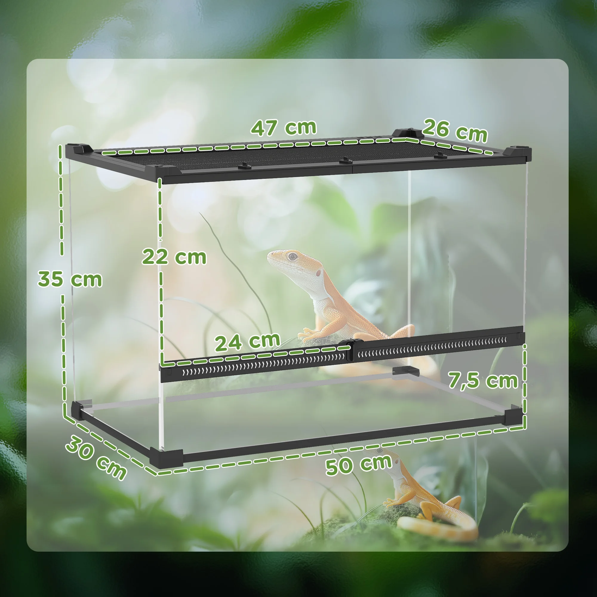 Terrarium Pour Reptile – Image 5