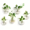 Vase Mural Plat en Verre Transparent - 8pcs