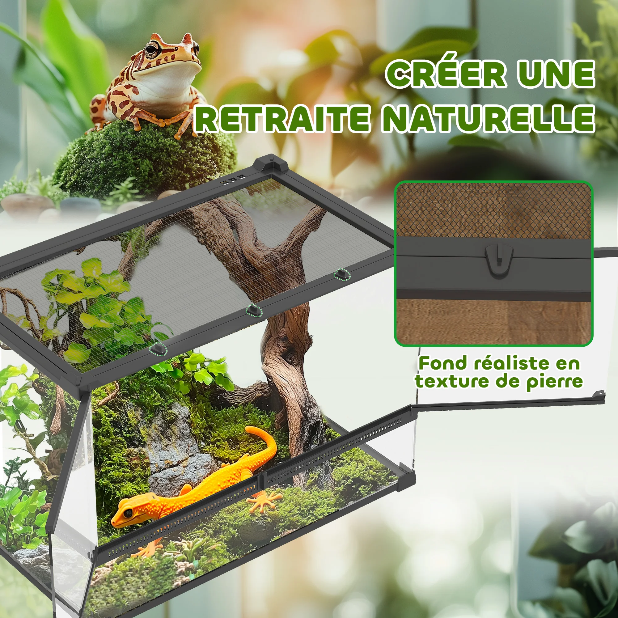 Terrarium Pour Reptile – Image 4